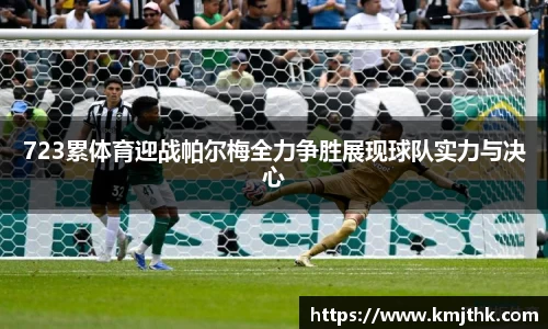 723累体育迎战帕尔梅全力争胜展现球队实力与决心
